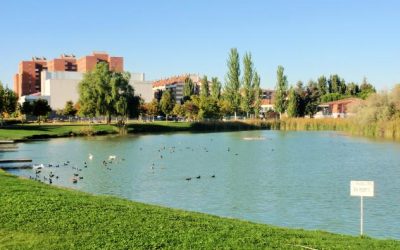 Fontanero Laguna del Duero